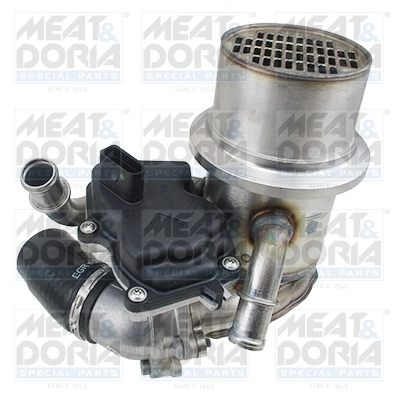 EGR Module